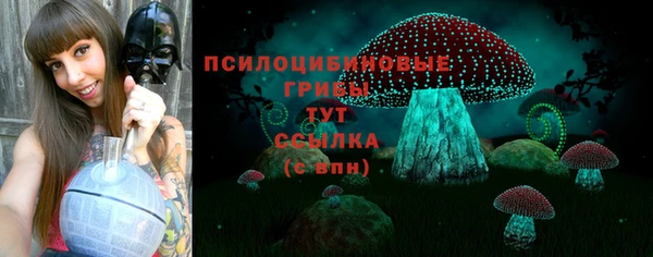 герыч Дмитров