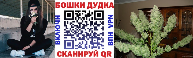 Бошки Шишки THC 21%  как найти закладки  Алагир 